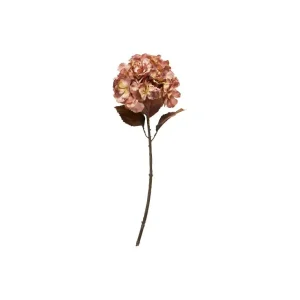 Speedtsberg – Hortensia stilk 62cm rose