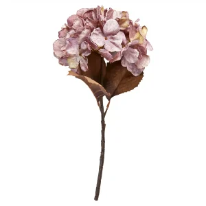 Speedtsberg – Hortensia stilk 48 cm dusty purple